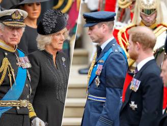 “William en Harry behielden hun kalmte, tot dat plots veranderde”: experten lichaamstaal analyseren Britse royals