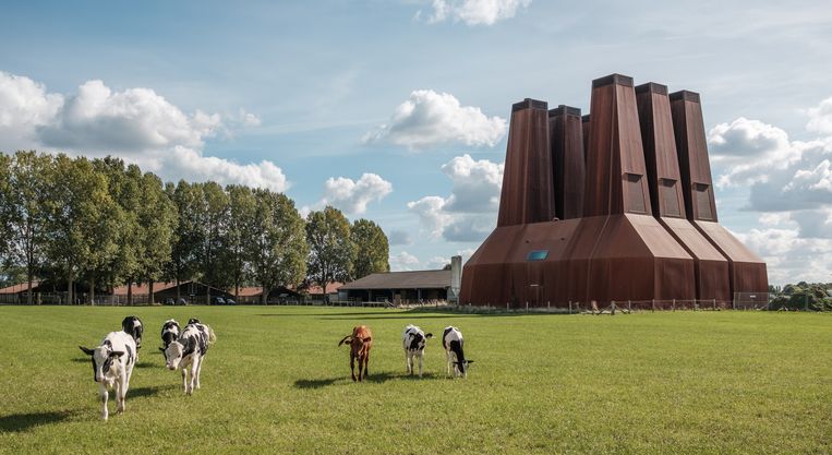 Op het terrein van De Uithof in Utrecht is in 2005 een warmtekrachtcentrale gebouwd op de Jenalaan. De centrale zet (bio)aardgas om in verwarming voor de Universiteitsgebouwen en elektriciteit. Beeld Rowin Ubink / de Volkskrant