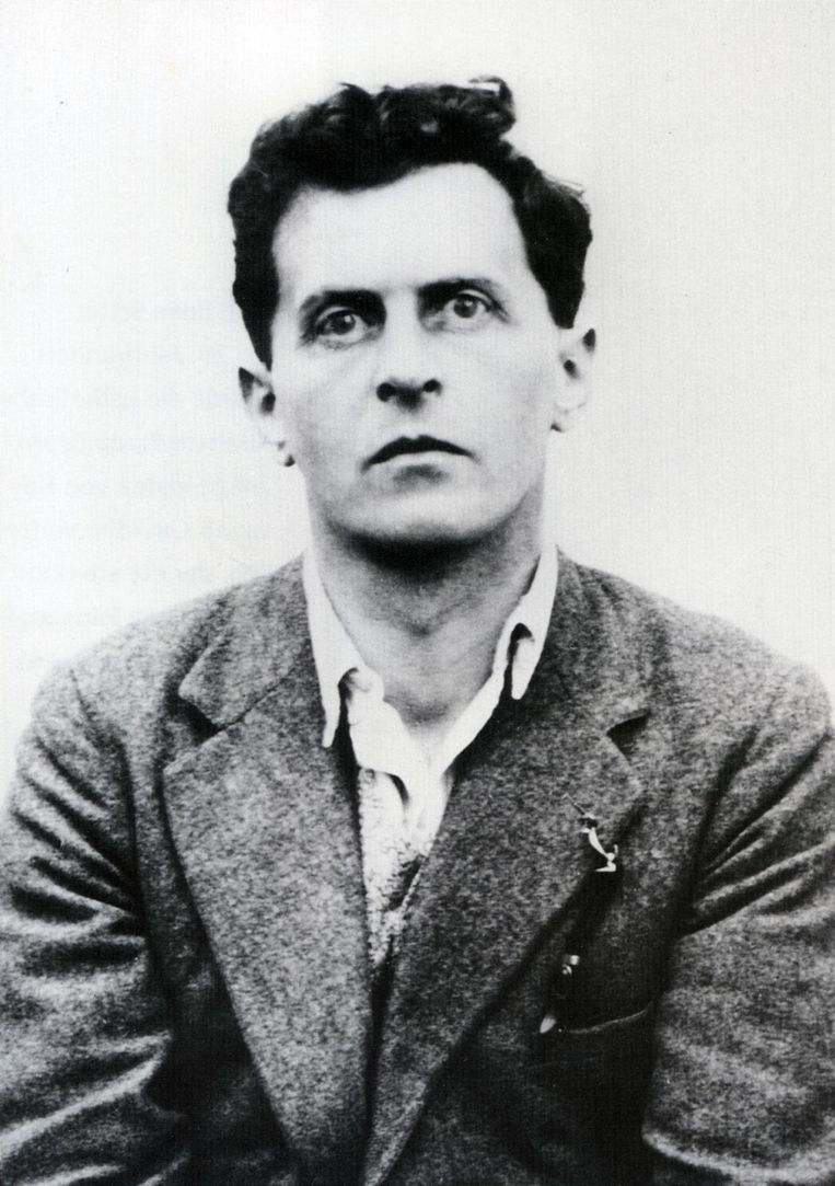 Ludwig Wittgenstein Beeld .