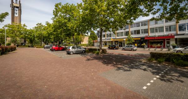 Cameratoezicht verjaagt criminelen van Brucknerplein Eindhoven:.