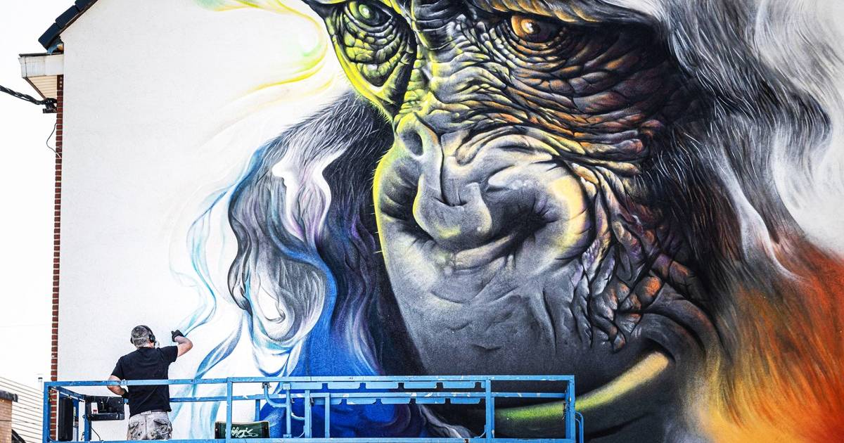 Artist Smoke (51 years old) colors streets around the world: “To San Francisco for a small wall… I receive the strangest requests” |  edgym