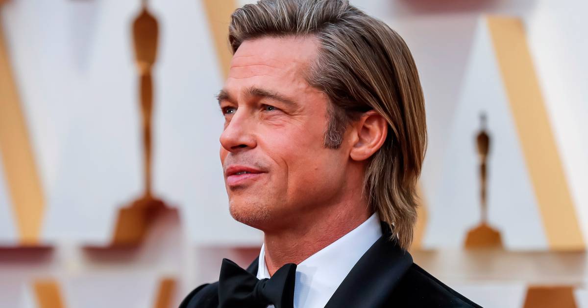 Brad Pitt vuole riconsiderare il caso di custodia Showbiz
