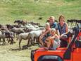 Yvonne van der Laan met man Peter en dochters Vera en Rosalie tussen de wilde paarden van Livno. Die bezochten ze tijdens een rondreis door Bosnië en Herzegovina.
