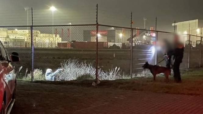 Politie houdt twee Albanese indringers aan in havengebied Nieuwdorp