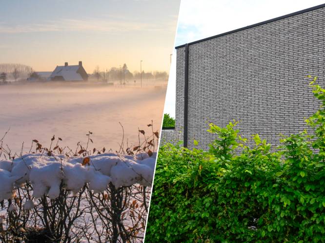 “35 jaar lang zagen we een weiland, nu is dat een muur”: wat kan je doen tegen een verpest uitzicht?