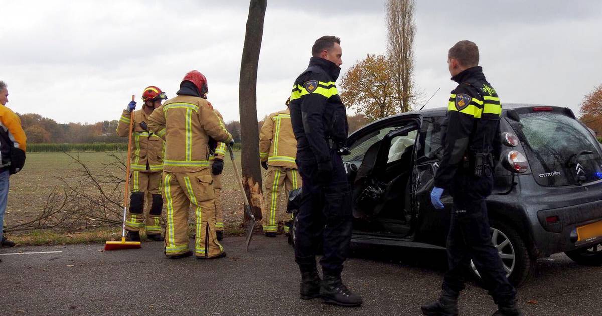 Auto Botst Tegen Boom In Vessem Automobiliste Bekneld Kempen Ed Nl