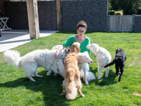 Topvrouw Peggy (50) van miljardenbedrijf Fiverr maakt in Hoge Hexel een paradijsje voor haar zieke dieren: ‘Ik beschouw ze als familie’