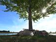 In 2015 werd een monument onthuld voor Cuijkse slachtoffers van de vliegramp met de MH17. Het monument bestaat uit twee delen: een bakenboom en een steen met inscriptie. De steen is een grote zwerfkei die tijdens baggerwerkzaamheden in de Maas naar boven is gekomen.