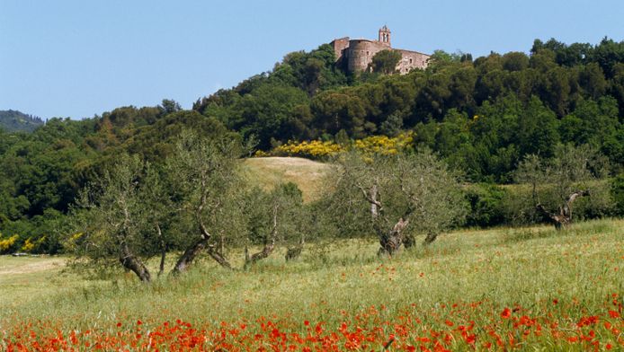 Paysage toscan (illustration)