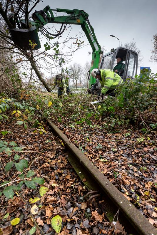 De gemeente Boxtel probeert dode takken en onkruid op te ruimen zoals hier aan de Keulsebaan, maar kan niet meer doen dan mogelijk is.