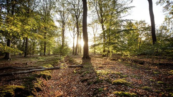Dreven in Drongengoedbos in Aalter krijgen officieel een naam