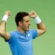 Argentinië wint Davis Cup voor het eerst na marathonwedstrijd Del Potro