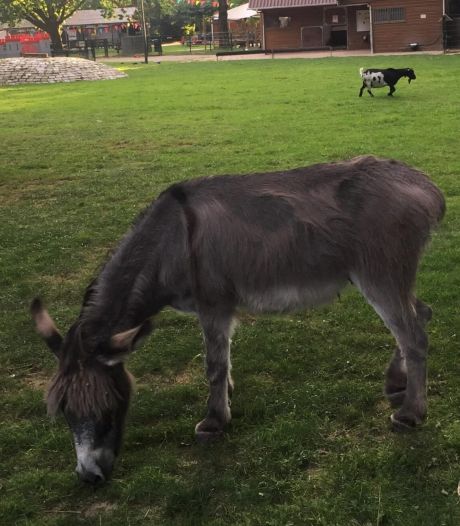 Een portie vrolijkheid: dit zijn geluksplekken in Eindhoven