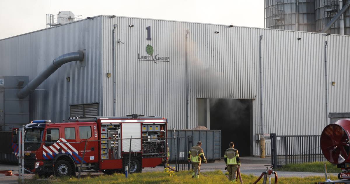Brand in houtpalletsbedrijf in #Moerdijk.