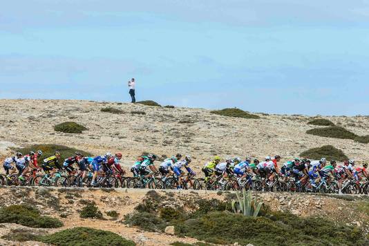 Het peloton tijdens de etappe.
