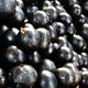 Achter deze superfood schuilt een wereld van ellende