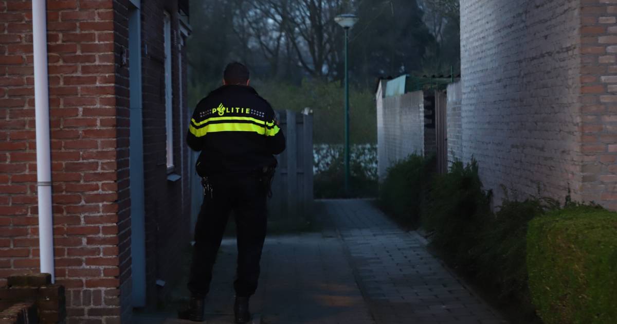 Gemaskerde mannen overvallen huis in Boskant.
