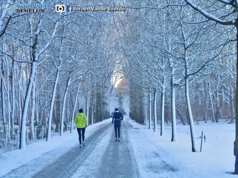 Brengt zwakke straalstroom ons straks echt winterweer ...