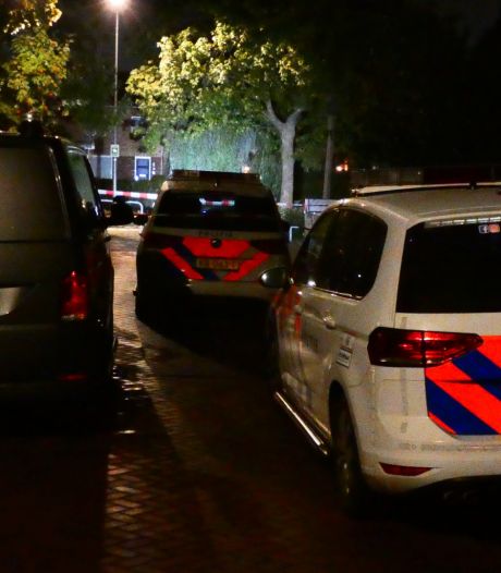 Vader (45) en zoon (18) vast voor steekpartij Den Bosch: ruzie kwam door zakelijk conflict