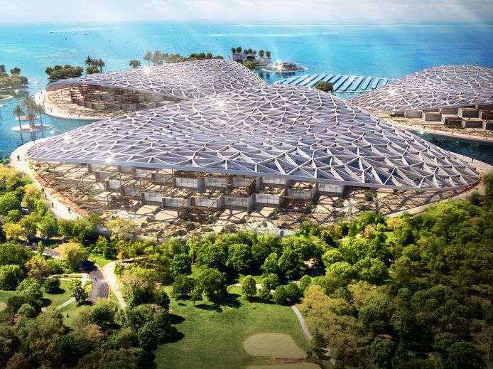 A conceptual image of what will become the world's largest ocean restoration project, off the coast of Dubai.  It will be used for marine research, regeneration and ecotourism.