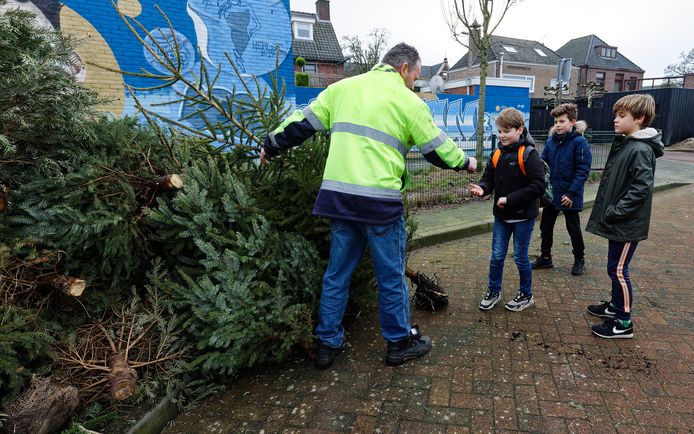 Figo, Tijm en Pim doen mee met de kerstbomeninzamelingsactie en leveren de bomen in op het Breukelsplein.