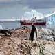 Plasticvervuiling Antarctica veel erger dan gedacht