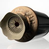 Het putje van Saltburn en ’s werelds meest verontrustende seksspeeltje: dit was het beste van het internet tot dusver