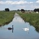Waterkwaliteit vrijwel overal in Nederland ondermaats: nieuw ‘stikstofachtig debacle’ dreigt