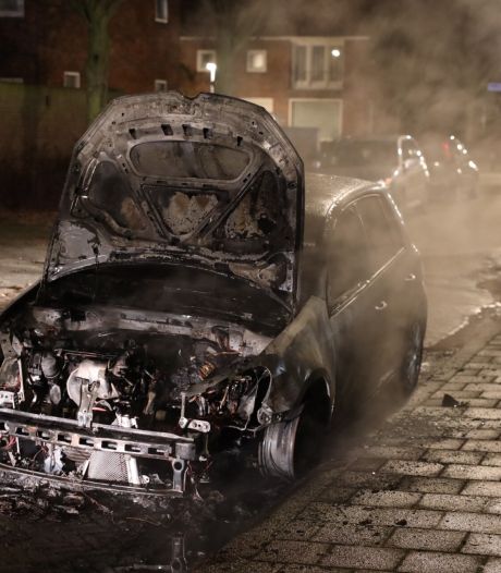Auto gaat in vlammen op in Den Bosch