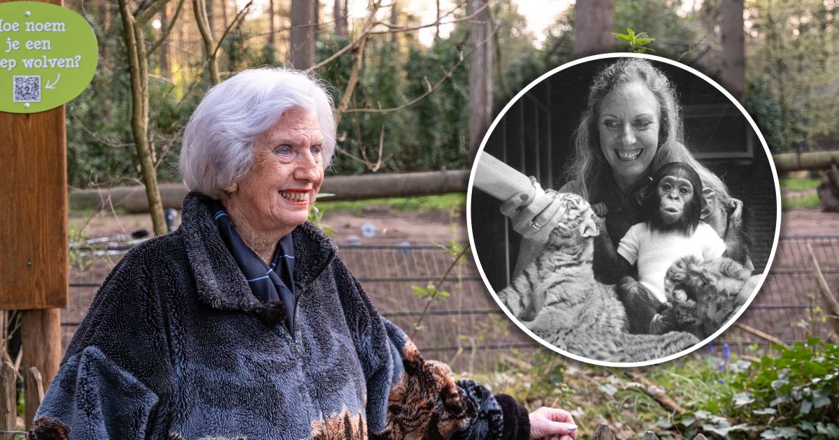 Astrid (83 ans) vit au zoo d’Amersfoort depuis 75 ans et sait une chose avec certitude : “Rester ici jusqu’à mon dernier souffle” |  75 ans DierenPark Amersfoort