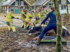 Wilma (49) belt brandweer om geliefde Tinky te redden: ‘Krijg paard van 800 kilo niet alleen omhoog’