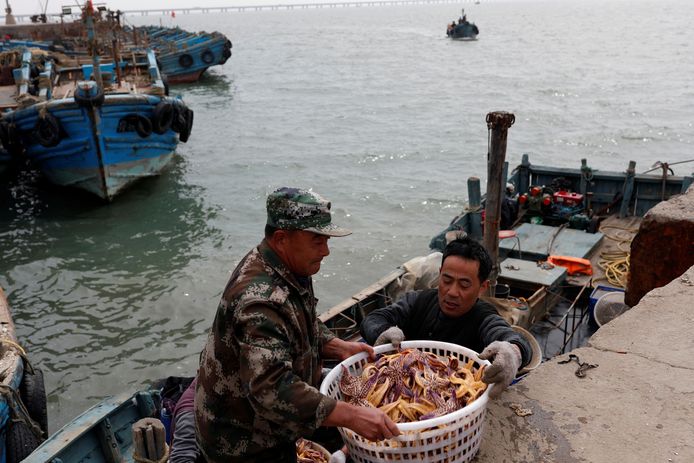 Vissers halen hun vangst binnen in de haven van Qingdao één dag na de botsing tussen de twee schepen.