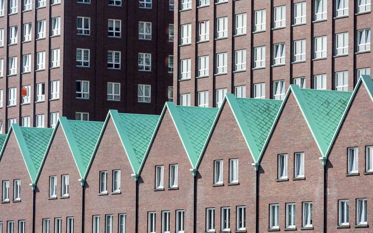 Kop van Zuid. Beeld anp