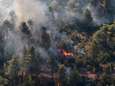 Felle wind wakkert bosbranden aan in Griekenland