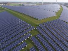 Prijzenoorlog bij de aanleg van zonneparken: ‘Het moet veel zorgvuldiger’