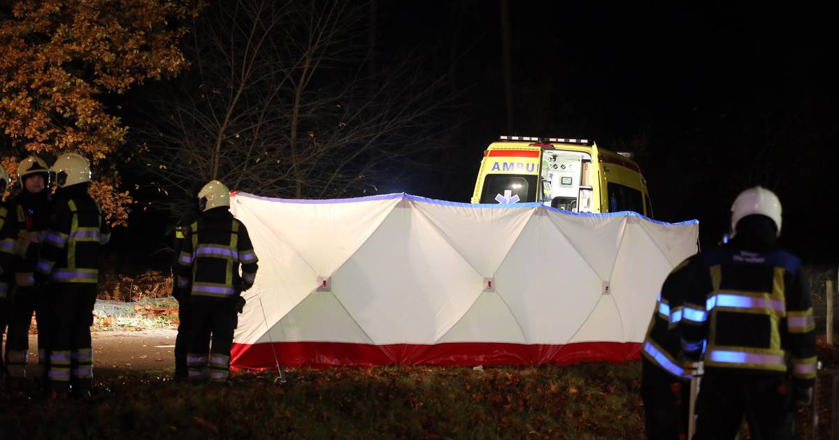 Vrouw uit Oss omgekomen bij ongeval op A59 bij Rosmalen, 4 familieleden gewond.
