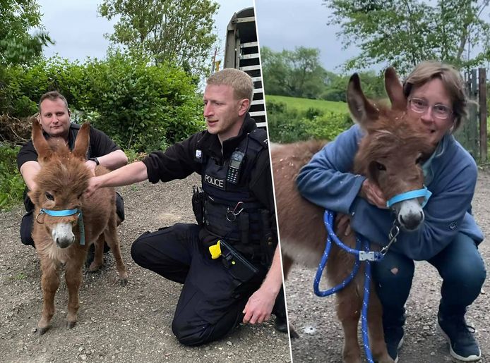 Moon, het baby-ezeltje dat werd ontvoerd. Links met politieagenten, rechts met de eigenaar Elizabeth Miller.
