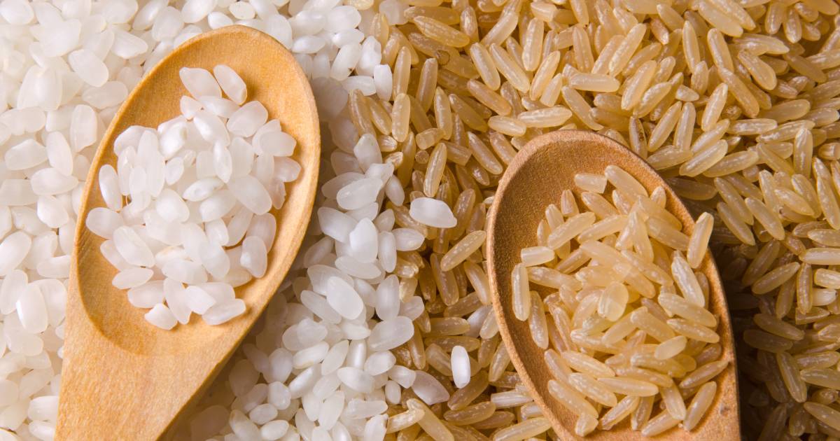Bitterheid schudden Tanzania Wat kunnen we beter eten: witte rijst of zilvervliesrijst? | Koken & Eten |  AD.nl