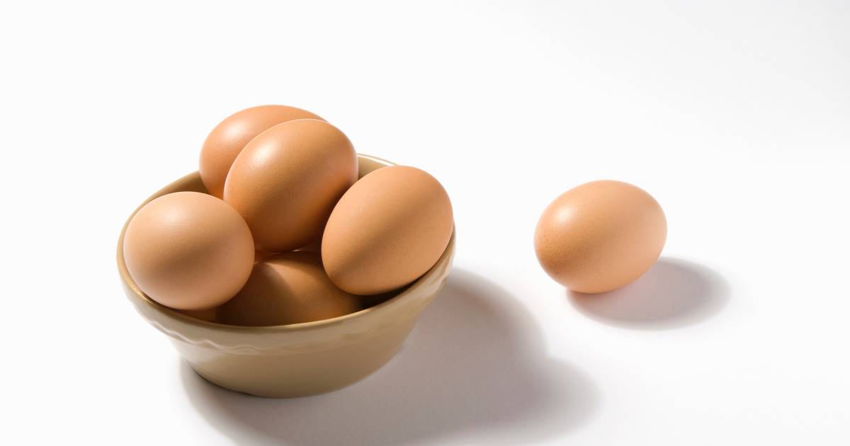 Maken toevoegen voelen Wat is gezonder: een bruin of een wit ei? | Pasen | AD.nl