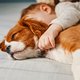 Dappere hond redt het leven van eenjarig meisje