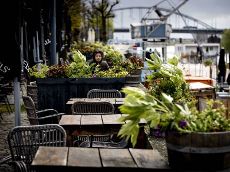 Regenachtig voorjaar is jammer voor terrasganger, maar goed nieuws voor de natuur