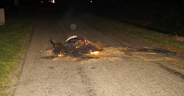 Fiets en rietafval in brand gestoken in Elshout