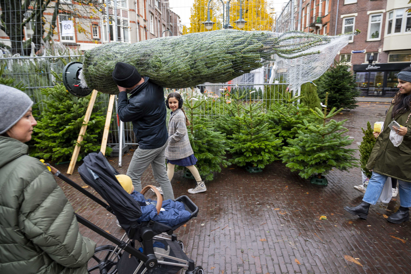 Echt of nep wat is de duurzaamste kerstboom? Foto AD.nl