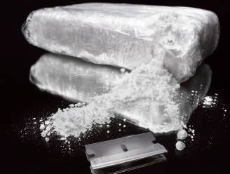 1500 kilo cocaïne aangetroffen in container in Rotterdamse haven