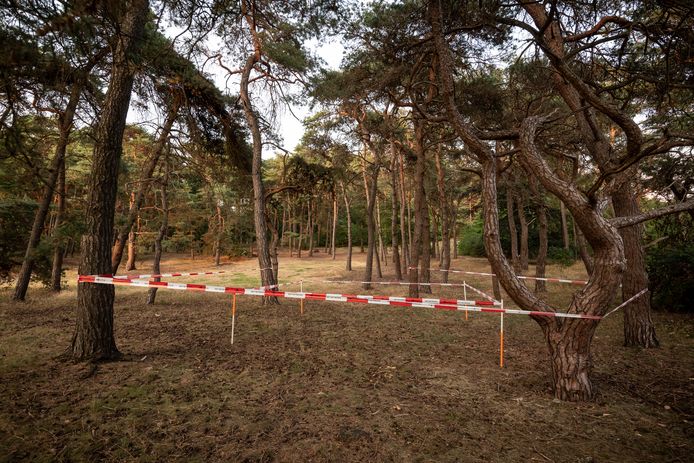 Beelden van de schouw op de Brunssummerheide. Op de omheinde plek stond de tent waar Nicky verbleef.