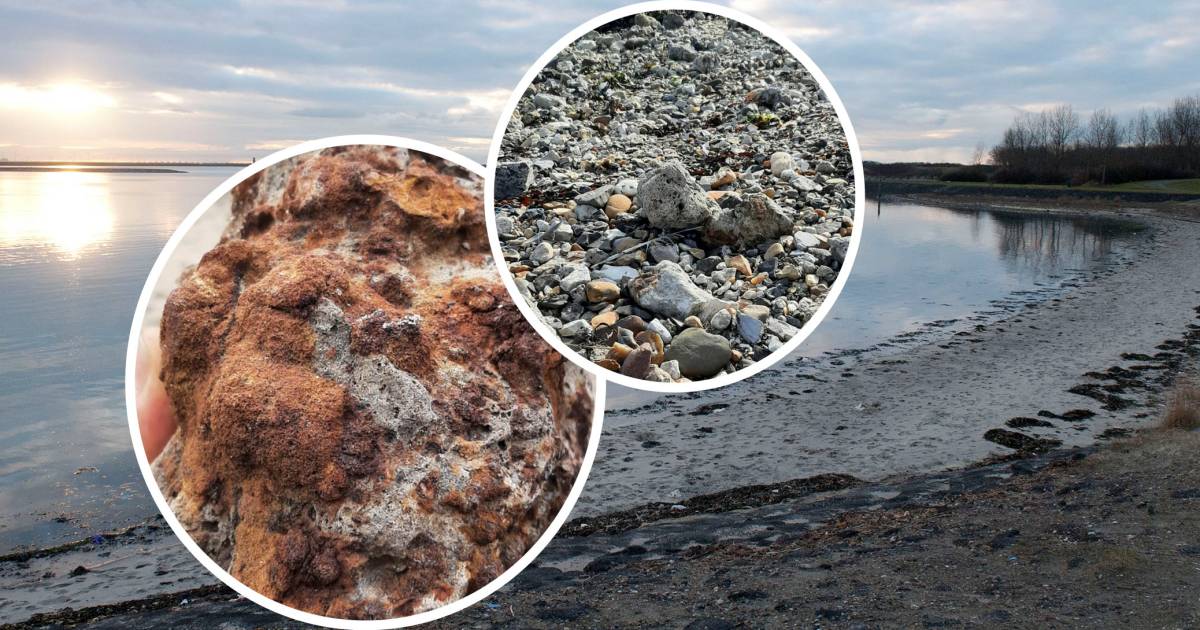 Ministerie en Rijkswaterstaat zien af van staalslakken om vaargeulwand in Westerschelde te versterke