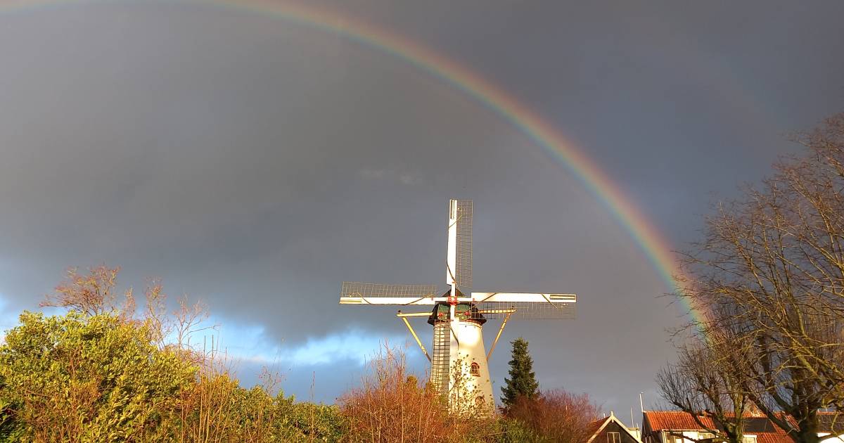 MIJN FOTO | Moois boven het hertenkamp in Wemeldinge