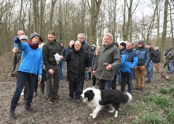 Met landschapsontwerper Jan van Minnebruggen (groen jack, baard en mapje in de hand) van bureau BoschSlabbers wandelen tientallen liefhebbers woensdagmiddag door een deel van het Nollebos.