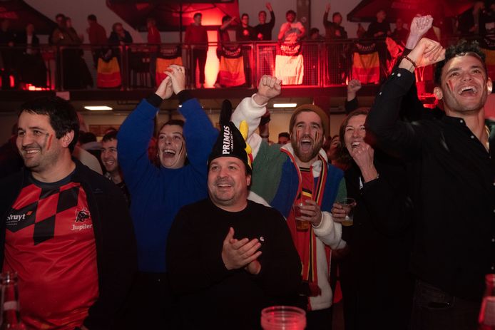 Alvast een feestje voor een afgekeurde penaltyfout in het voordeel van onze Duivels.