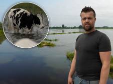 Boer Jacob na dijkdoorbraak in Hattem: ‘We hebben alles op alles gezet. Op zoek naar het vee’